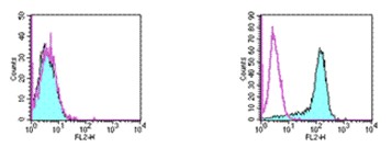 Flow Cytometry - PE Anti-PD-L2 antibody [TY25] (AB93589), expandable thumbnail