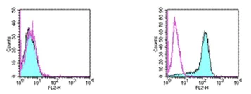 Flow Cytometry - PE Anti-PD-L2 antibody [TY25] (AB93589)