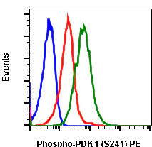 Flow Cytometry - PE Anti-PDPK1 (phospho S241) antibody [PDK1S241-F7] (AB278597)