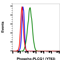 Flow Cytometry - PE Anti-Phospholipase C gamma 1/PLC-gamma-1 (phospho Y783) antibody [PLCG1Y783-C4] (AB278708), expandable thumbnail