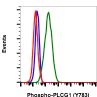 Flow Cytometry - PE Anti-Phospholipase C gamma 1/PLC-gamma-1 (phospho Y783) antibody [PLCG1Y783-C4] (AB278708)