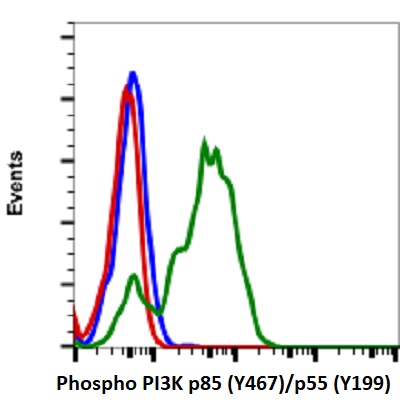 Flow Cytometry - PE Anti-PI 3 Kinase p85 alpha (phospho Y467) + PI3 Kinase p55 (phospho Y199) antibody [PI3KY458-1A11] (AB278691), expandable thumbnail
