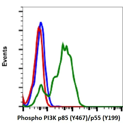 Flow Cytometry - PE Anti-PI 3 Kinase p85 alpha (pY467) + PI3 Kinase p55 (pY199) antibody [PI3KY458-1A11] (AB278691)