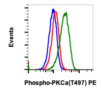 Flow Cytometry - PE Anti-PKC alpha (phospho T497) antibody [PKCaT497-F1] (AB278767), expandable thumbnail