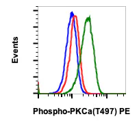 Flow Cytometry - PE Anti-PKC alpha (phospho T497) antibody [PKCaT497-F1] (AB278767)