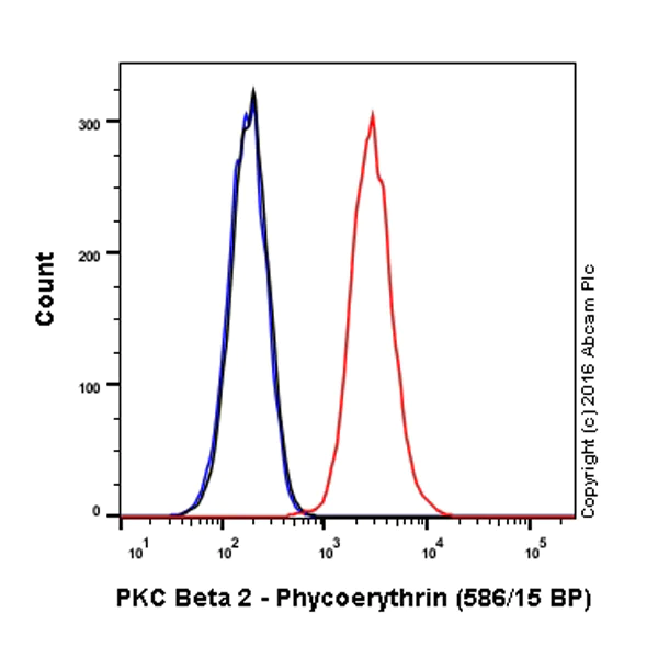 Flow Cytometry (Intracellular) - PE Anti-PKC beta 2 antibody [Y125] (AB210976)