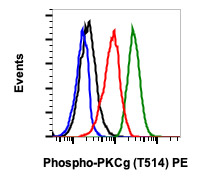 Flow Cytometry - PE Anti-PKC (phospho T514) antibody [PKCgT514-PF4] (AB278661), expandable thumbnail