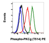 Flow Cytometry - PE Anti-PKC (phospho T514) antibody [PKCgT514-PF4] (AB278661)