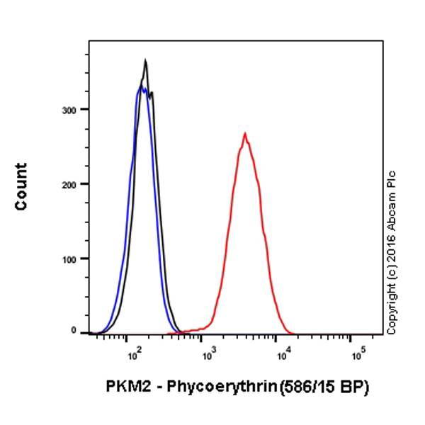 PE Anti-PKM antibody [EPR10138(B)]