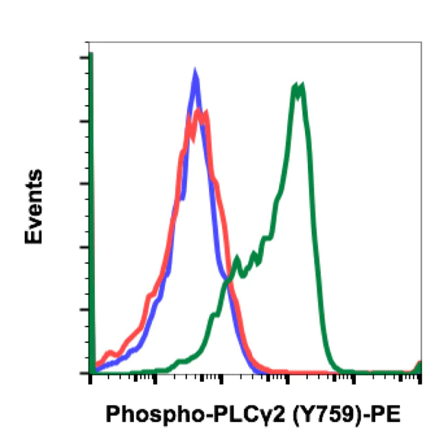 Flow Cytometry - PE Anti-PLCG 2 (phospho Y759) antibody [PLCG2Y759-G3] (AB278679)