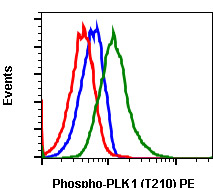Flow Cytometry - PE Anti-PLK1 (phospho T210) antibody [PLK1T210-C2] (AB278769), expandable thumbnail