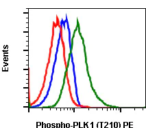 Flow Cytometry - PE Anti-PLK1 (phospho T210) antibody [PLK1T210-C2] (AB278769)