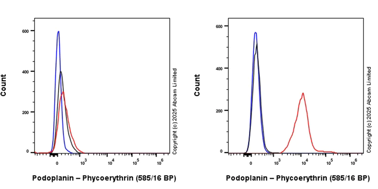 Flow Cytometry - PE Anti-Podoplanin antibody [EPR27193-535] (AB323754)