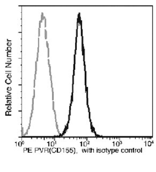 Flow Cytometry - PE Anti-Poliovirus Receptor/PVR antibody [305] (AB275718), expandable thumbnail
