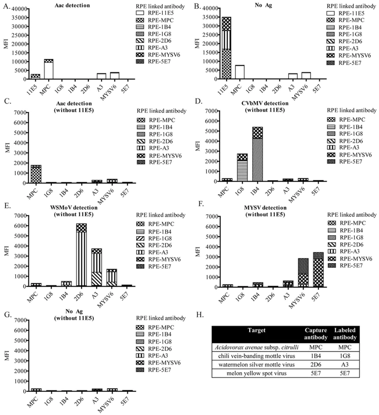 Conjugation - PE / R-Phycoerythrin Conjugation Kit - Lightning-Link® (AB102918)