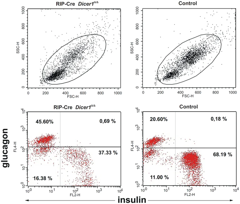 Conjugation - PE / R-Phycoerythrin Conjugation Kit - Lightning-Link® (AB102918)