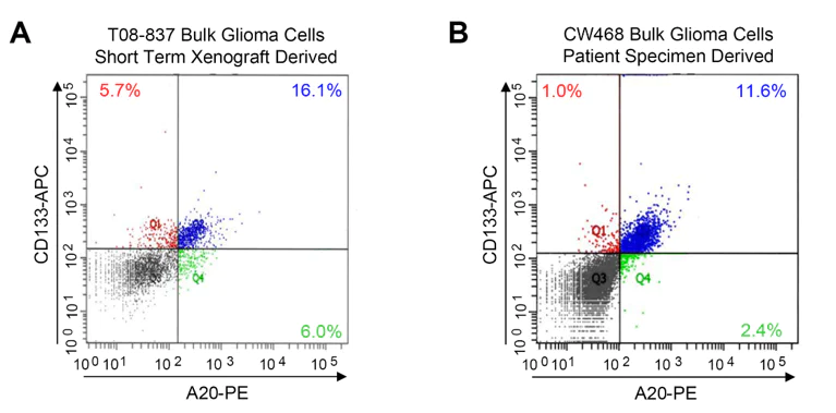 Conjugation - PE / R-Phycoerythrin Conjugation Kit - Lightning-Link® (AB102918)