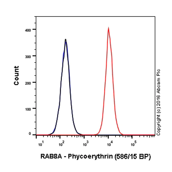 Flow Cytometry (Intracellular) - PE Anti-RAB8A antibody [EPR14873] - C-terminal (AB210666)
