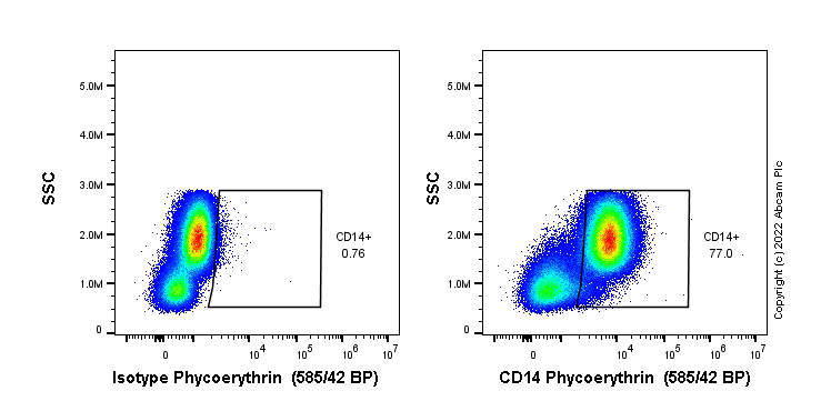 PE conjugated Anti- Rabbit IgG, monoclonal [EPR25A] - Isotype