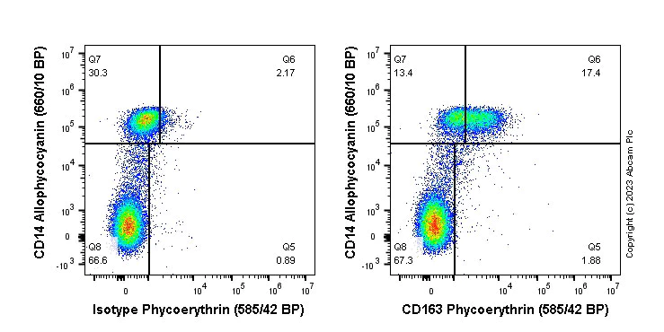 Flow Cytometry - PE Rabbit IgG, monoclonal [EPR25A] - Isotype Control (AB209478)