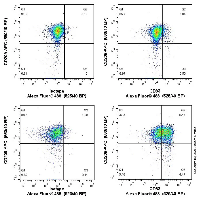 Flow Cytometry - PE Rabbit IgG, monoclonal [EPR25A] - Isotype Control (AB209478)