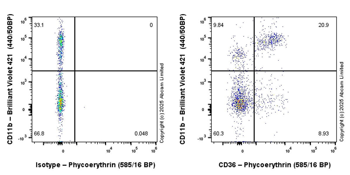Flow Cytometry - PE Rabbit IgG, monoclonal [EPR25A] - Isotype Control (ab209478), expandable thumbnail