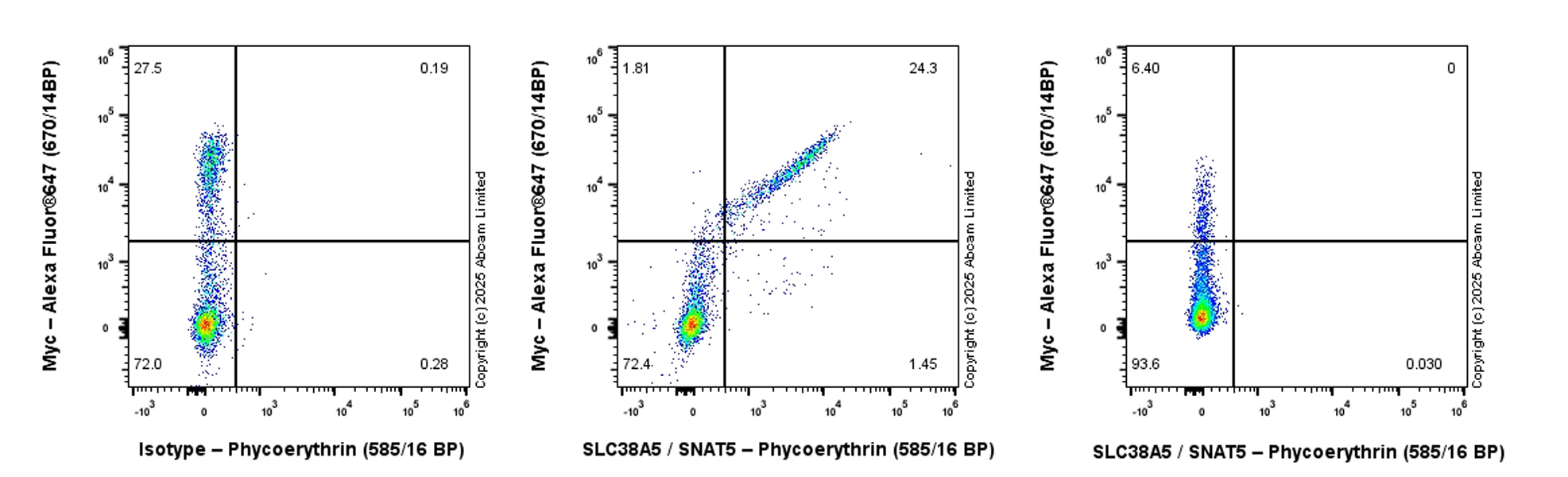 Flow Cytometry - PE Rabbit IgG, monoclonal [EPR25A] - Isotype Control (AB209478)