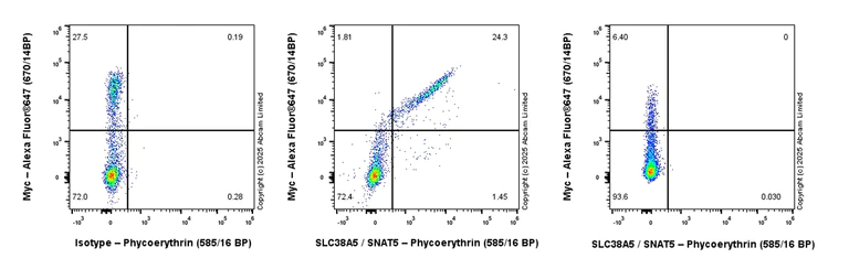 Flow Cytometry - PE Rabbit IgG, monoclonal [EPR25A] - Isotype Control (AB209478)