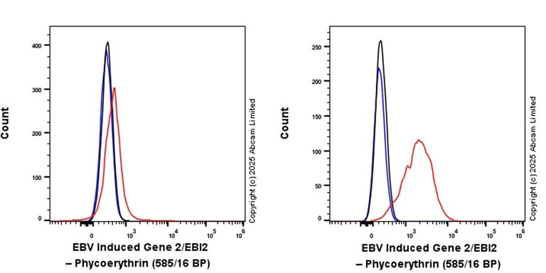 Flow Cytometry - PE Rabbit IgG, monoclonal [EPR25A] - Isotype Control (AB209478)