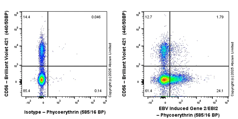 Flow Cytometry - PE Rabbit IgG, monoclonal [EPR25A] - Isotype Control (AB209478)