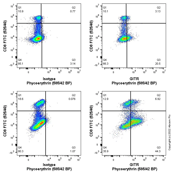 Flow Cytometry (Intracellular) - PE Rabbit IgG, monoclonal [EPR25A] - Isotype Control (AB209478)