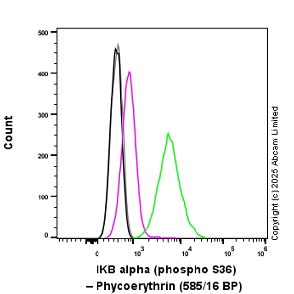 Flow Cytometry (Intracellular) - PE Rabbit IgG, monoclonal [EPR25A] - Isotype Control (AB209478)