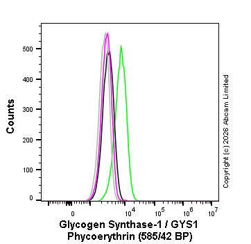 Flow Cytometry (Intracellular) - PE Rabbit IgG, monoclonal [EPR25A] - Isotype Control (AB209478)