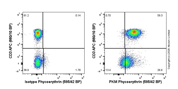 Flow Cytometry (Intracellular) - PE Rabbit IgG, monoclonal [EPR25A] - Isotype Control (AB209478)