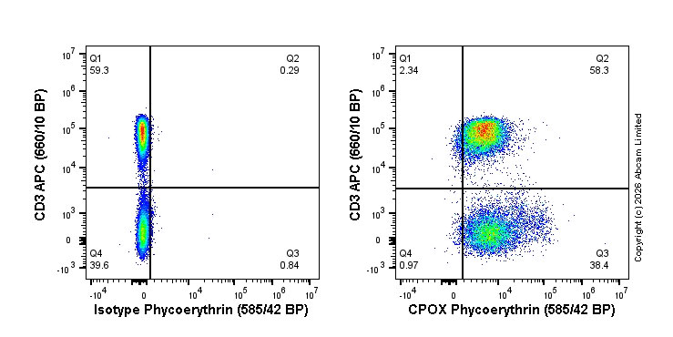 Flow Cytometry (Intracellular) - PE Rabbit IgG, monoclonal [EPR25A] - Isotype Control (AB209478)
