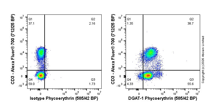 Flow Cytometry (Intracellular) - PE Rabbit IgG, monoclonal [EPR25A] - Isotype Control (AB209478)