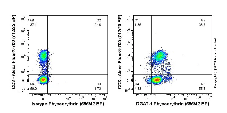 Flow Cytometry (Intracellular) - PE Rabbit IgG, monoclonal [EPR25A] - Isotype Control (AB209478)