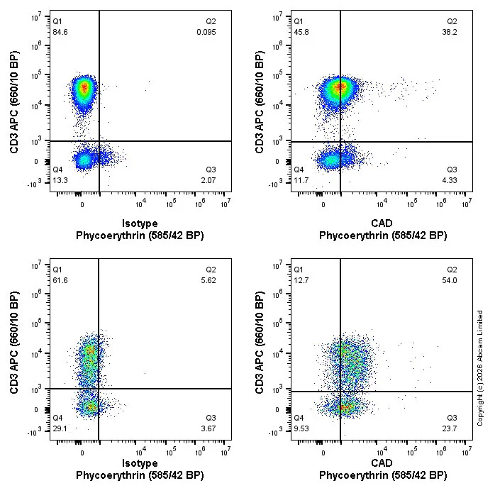 Flow Cytometry (Intracellular) - PE Rabbit IgG, monoclonal [EPR25A] - Isotype Control (AB209478)