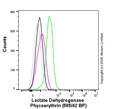 Flow Cytometry (Intracellular) - PE Rabbit IgG, monoclonal [EPR25A] - Isotype Control (AB209478)