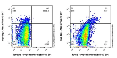 Flow Cytometry - PE Anti-RAGE antibody [EPR21171] (AB237363)