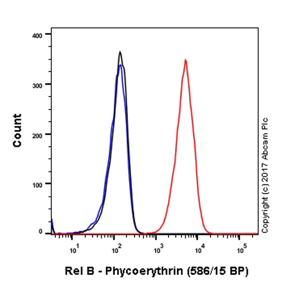 Flow Cytometry (Intracellular) - PE Anti-Rel B antibody [EP614Y] (AB212214)