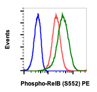 Flow Cytometry - PE Anti-Rel B (phospho S552) antibody [RelBS552-A7] (AB278746), expandable thumbnail