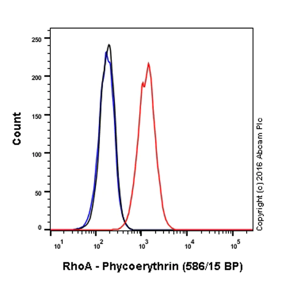 Flow Cytometry (Intracellular) - PE Anti-RhoA antibody [EPR18134] (AB212154)