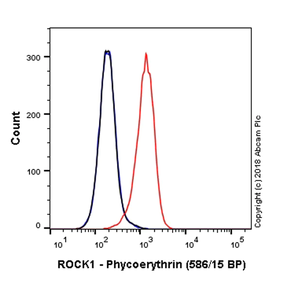 Flow Cytometry (Intracellular) - PE Anti-ROCK2 + ROCK1 antibody [EP786Y] (AB224972)
