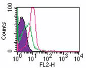 Flow Cytometry (Intracellular) - PE Anti-ROR gamma antibody [4G419] (AB104950)