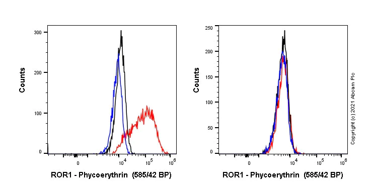 Flow Cytometry (Intracellular) - PE Anti-ROR1 antibody [EPR24451-141] (AB281779)