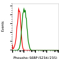 Flow Cytometry - PE Anti-RPS6 (phospho S235 + S236) antibody [S6S235S236-R3A2] (AB278684)