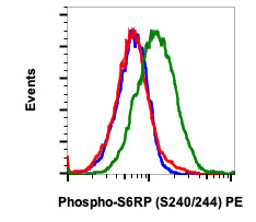 Flow Cytometry - PE Anti-RPS6 (phospho S240 + S244) antibody [S6RPS240244-CD10] (AB278772), expandable thumbnail
