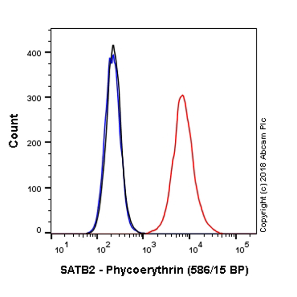 Flow Cytometry (Intracellular) - PE Anti-SATB2 antibody [EPNCIR130A] (AB225052)