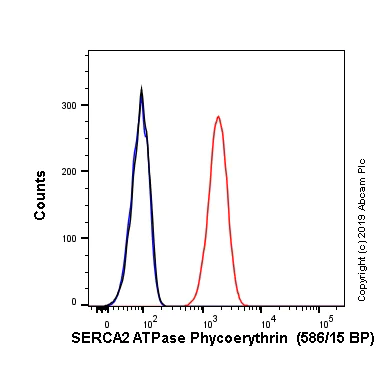 Flow Cytometry (Intracellular) - PE Anti-SERCA2 ATPase antibody [EPR9392] (AB237223)